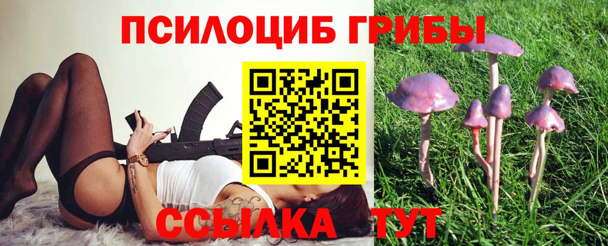 где продают наркотики  Вход с VPN  Ленинск-Кузнецкий  Псилоцибиновые грибы ЛСД  Псилоцибиновые грибы GOLDEN TEACHER 